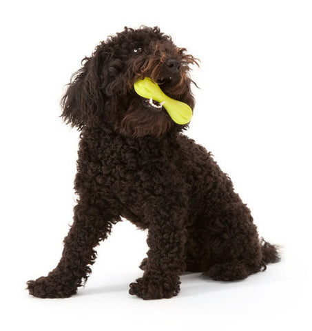 West Paw Zogoflex Hurley Tough Dog Chew Toy, Large < Pets Plus