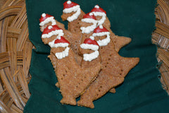 Santa Chickens